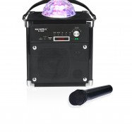 Loa Soundmax D1000