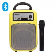 Loa SoundMax trợ giảng M1