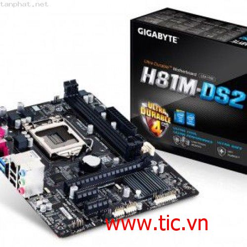 Mainboard GIGABYTE H81M-DS2